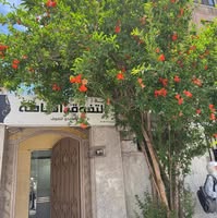 ثانوية التفوق الخاصة